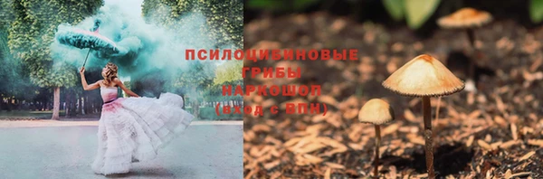 apvp Верея