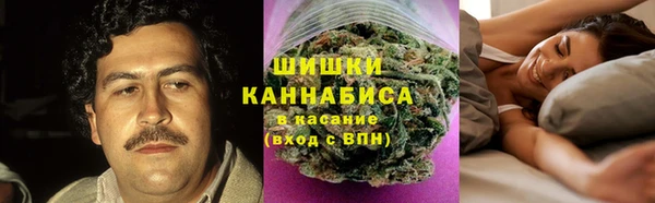 крисы Володарск