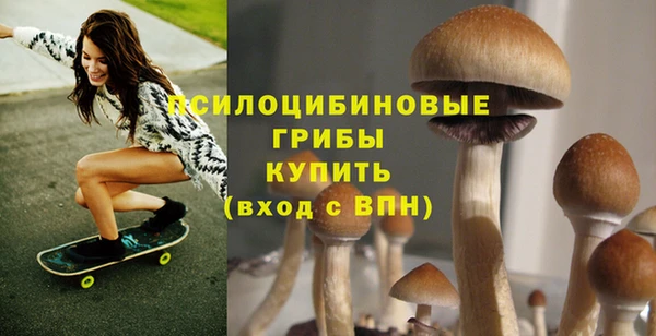 2c-b Бронницы