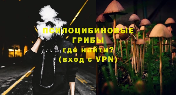 apvp Верея